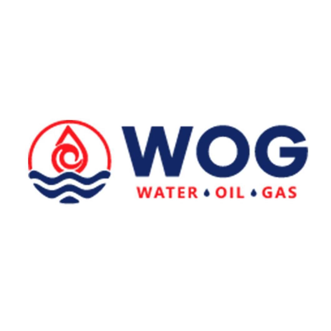 WOG  Group